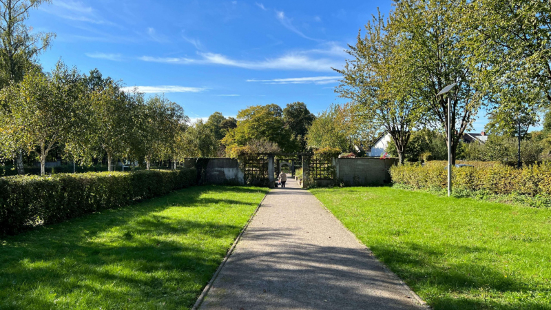 Hunderunde-durch-die-Parks-im-Koelner-Sueden_2022-10-04-357-scaled