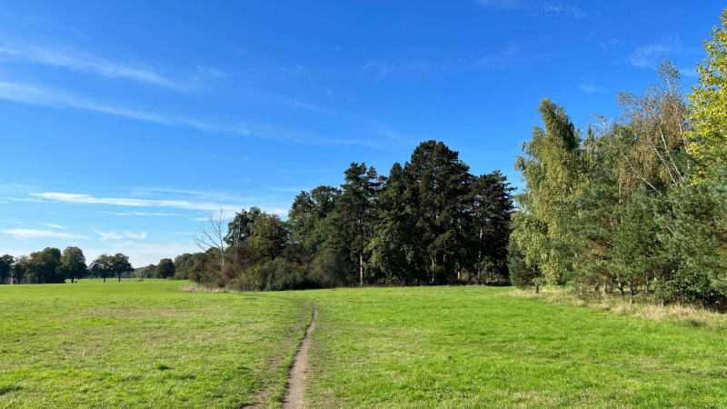 Hunderunde-durch-die-Parks-im-Koelner-Sueden_2022-10-04-359-scaled