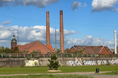 Hunderunde-Pionierpark-Koeln_2022-10-08-380