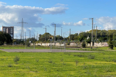 Hunderunde-Pionierpark-Koeln_2022-10-08-381