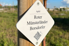 Hunderunde-Pionierpark-Koeln_2022-10-08-382