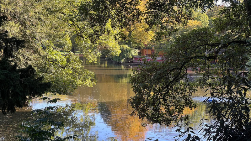 Hunderunde-Vorgebirgspark-und-Volksgarten_2022-10-06-366
