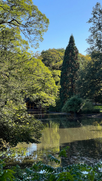 Hunderunde-Vorgebirgspark-und-Volksgarten_2022-10-06-367