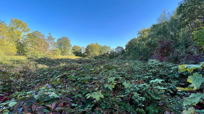Hunderunde-Vorgebirgspark-und-Volksgarten_2022-10-06-369