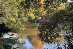 Hunderunde-Vorgebirgspark-und-Volksgarten_2022-10-06-366