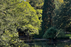 Hunderunde-Vorgebirgspark-und-Volksgarten_2022-10-06-367