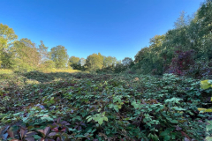 Hunderunde-Vorgebirgspark-und-Volksgarten_2022-10-06-369