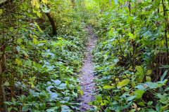 Hunderunde-Vorgebirgspark-und-Volksgarten_2022-10-06-371