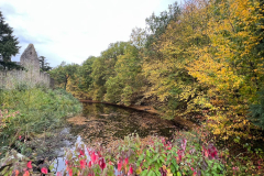 Roemerkanal-Wanderweg-Etappe-4_2022-10-21-449