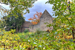 Roemerkanal-Wanderweg-Etappe-4_2022-10-21-450