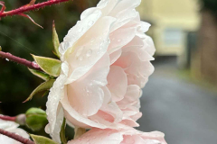 Roemerkanal-Wanderweg-Etappe-4_2022-10-21-457