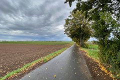 Roemerkanal-Wanderweg-Etappe-4_2022-10-21-459