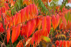 Roemerkanal-Wanderweg-Etappe-4_2022-10-21-465