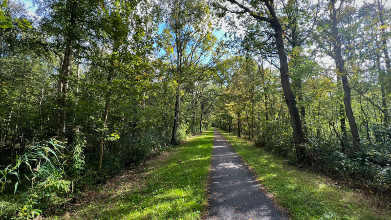 Wanderung Den Oever Robbenoordbos