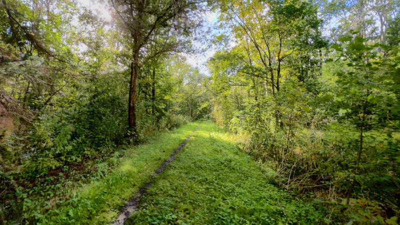 Wanderung-Den-Oever-Robbenoordbos