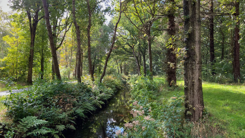 Wanderung Den Oever Robbenoordbos