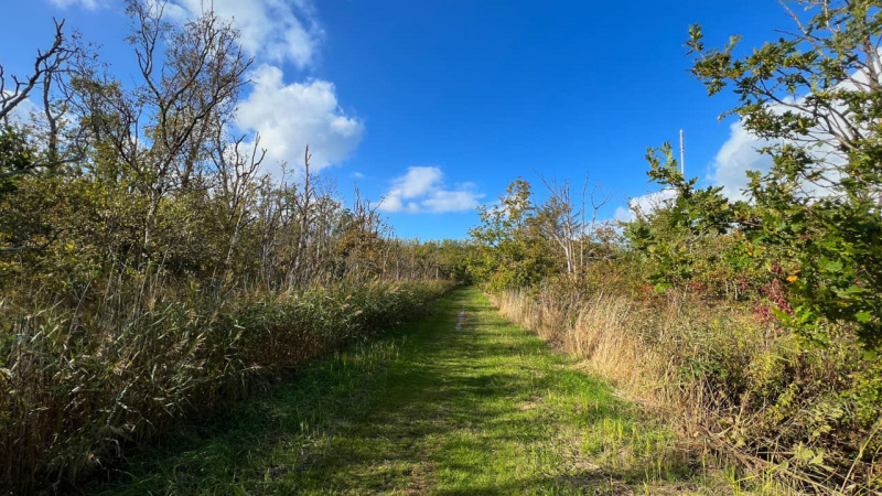 Wanderung Den Oever Robbenoordbos