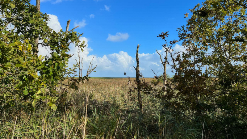 Wanderung Den Oever Robbenoordbos