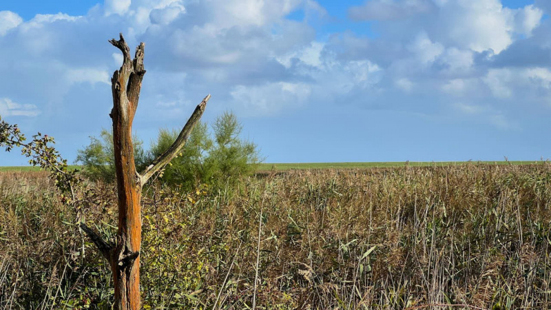 Wanderung Den Oever Robbenoordbos