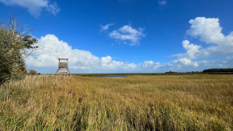 Wanderung Den Oever Robbenoordbos