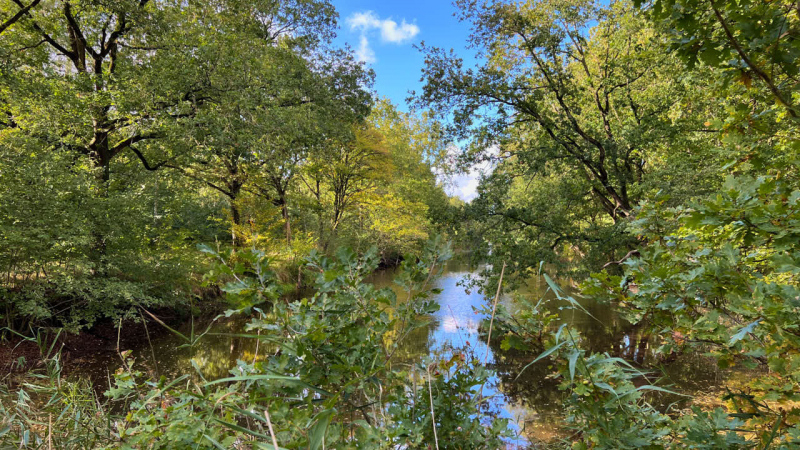 Wanderung Den Oever Robbenoordbos