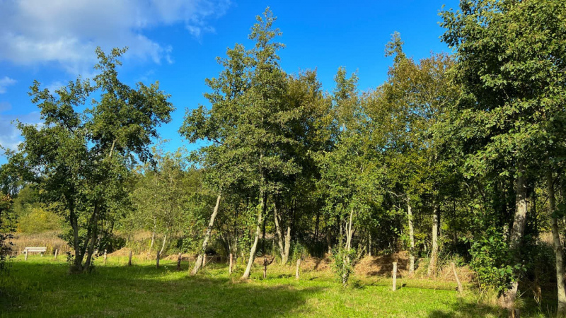 Wanderung Den Oever Robbenoordbos