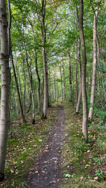 Wanderung Den Oever Robbenoordbos
