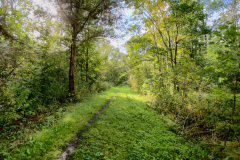 Wanderung-Den-Oever-Robbenoordbos