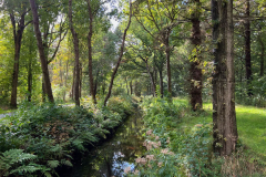 Wanderung Den Oever Robbenoordbos