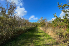 Wanderung Den Oever Robbenoordbos