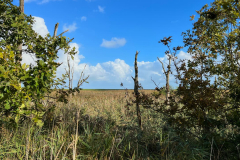 Wanderung Den Oever Robbenoordbos
