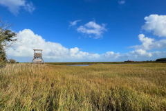 Wanderung Den Oever Robbenoordbos