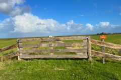Wanderung Den Oever Robbenoordbos