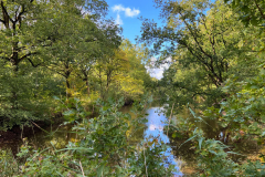 Wanderung Den Oever Robbenoordbos
