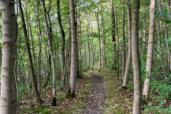 Wanderung Den Oever Robbenoordbos