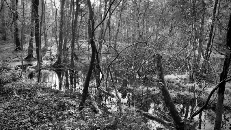 Wanderung-Galgenvenn_9668
