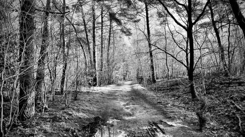 Wanderung-Galgenvenn_9671