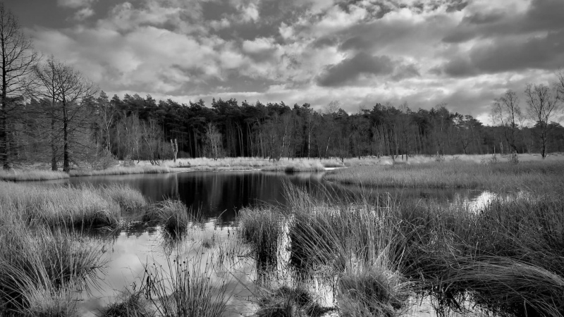 Wanderung-Galgenvenn_9677