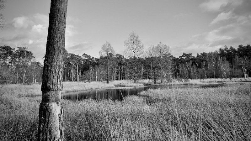 Wanderung-Galgenvenn_9678