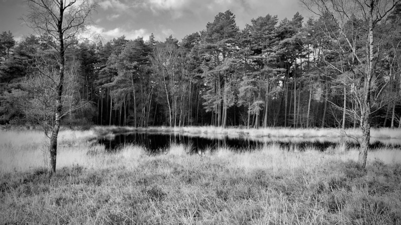 Wanderung-Galgenvenn_9683