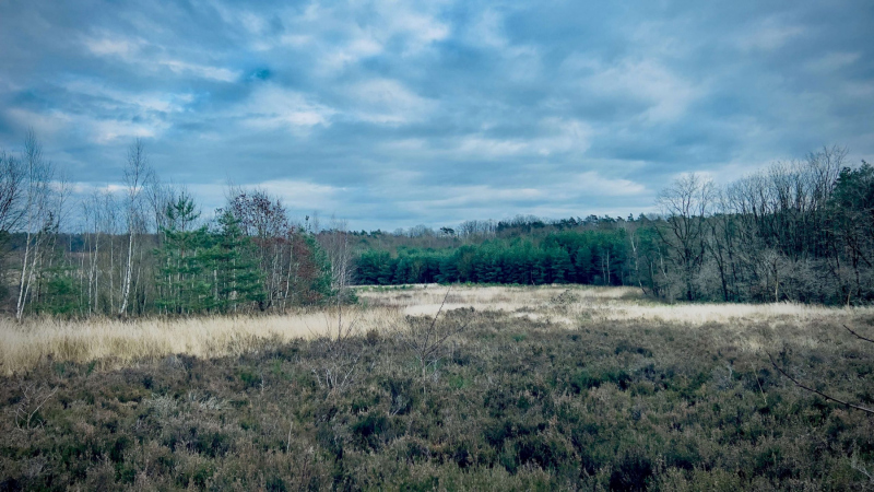 Wanderung-Galgenvenn_9697-scaled
