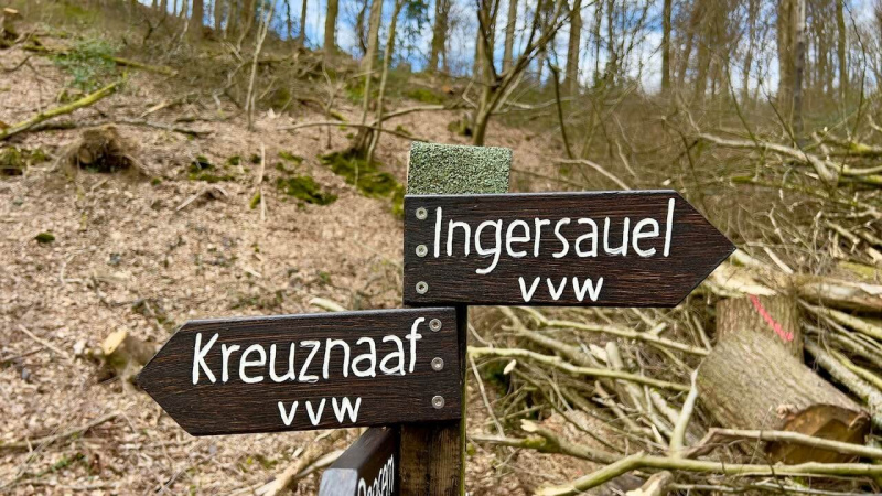 Wanderung-im-Naafbachtal-Rudis-Trails-auf-kleinen-Pfaden-14