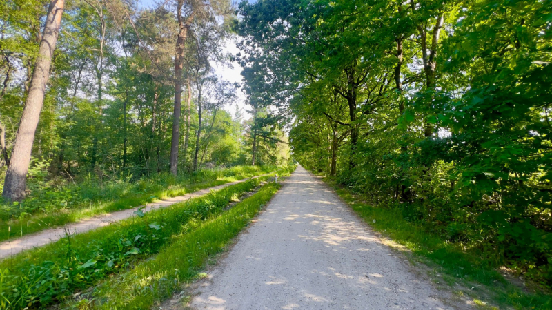 Schandelose-Heide_1591-scaled