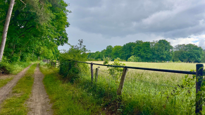 Schandelose-Heide_1611-scaled