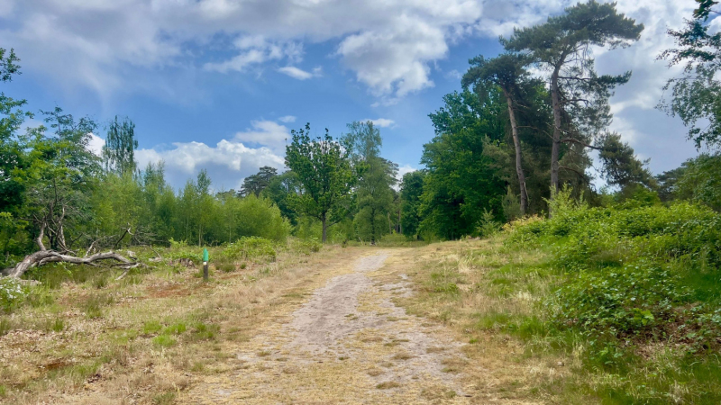 Schandelose-Heide_1614-scaled