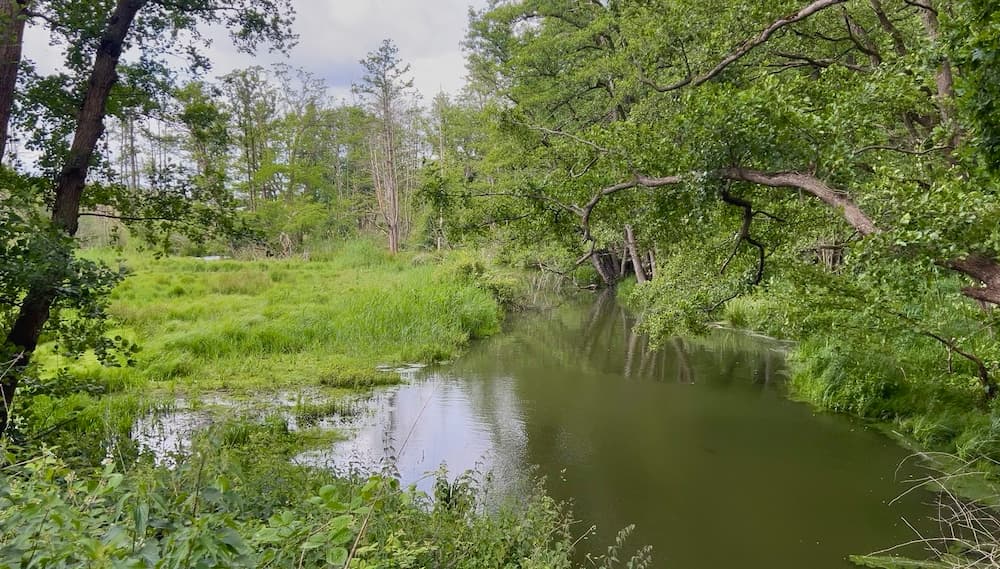 Wanderung Poelvenn Hinbeck